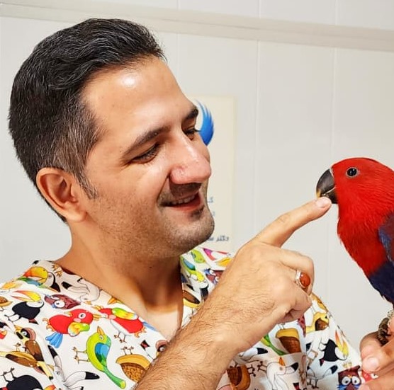 کلینیک دامپزشکی طیور و پرندگان دکتر موسوی نسب